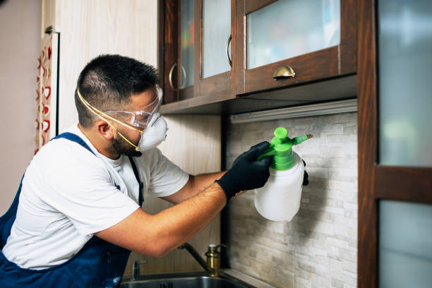 Best Emergency Pest Control  in Spring Hill, FL
