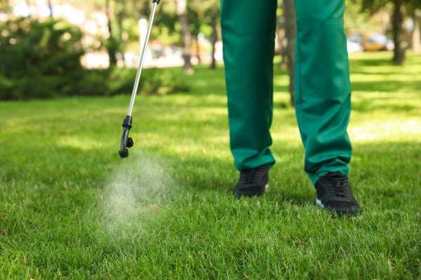 Best Rodent Control Near Me  in Spring Hill, FL