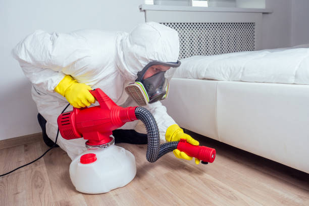 Best Affordable Pest Control Services  in Spring Hill, FL