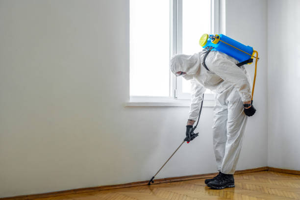 Best Rat Extermination Near Me  in Spring Hill, FL