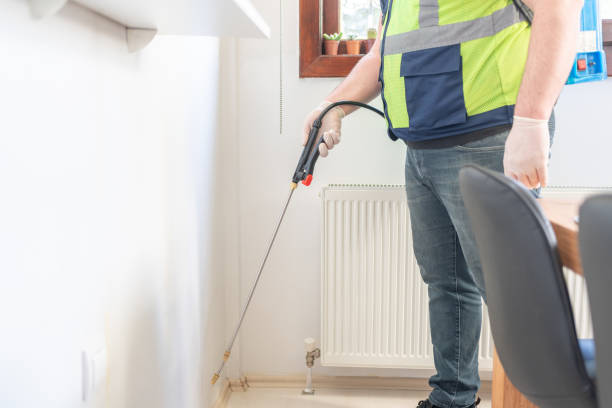 Best Pest Control Near Me in Spring Hill, FL