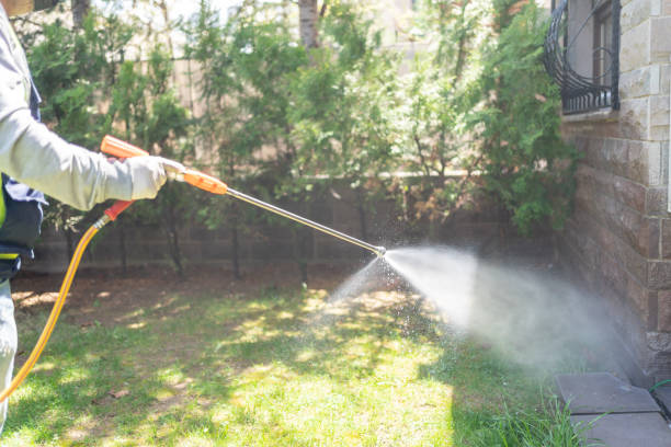 Best Bed Bug Extermination  in Spring Hill, FL