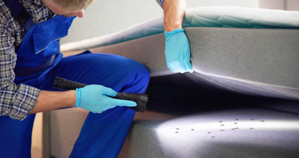 Best Pest Control for Restaurants  in Spring Hill, FL