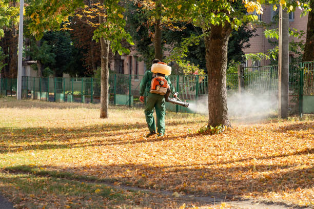 Best Commercial Pest Control Services  in Spring Hill, FL